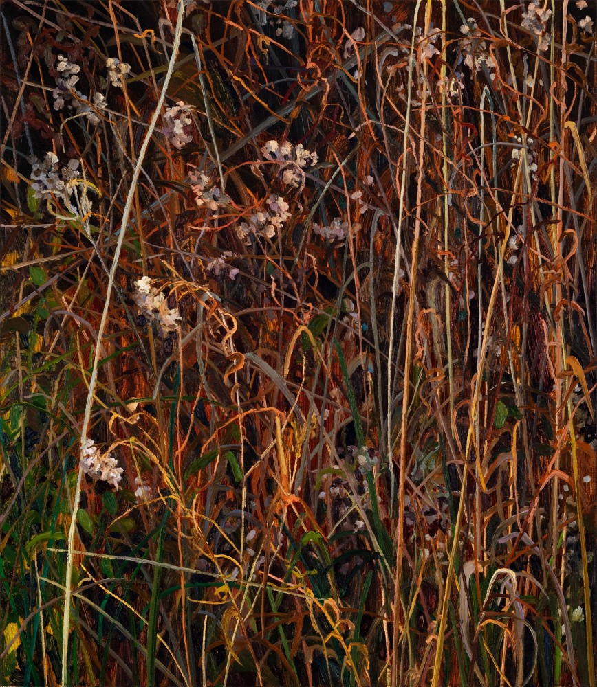 Claire Sherman, Wildflowers, 2020. Oil on canvas, 30 x 26 inches