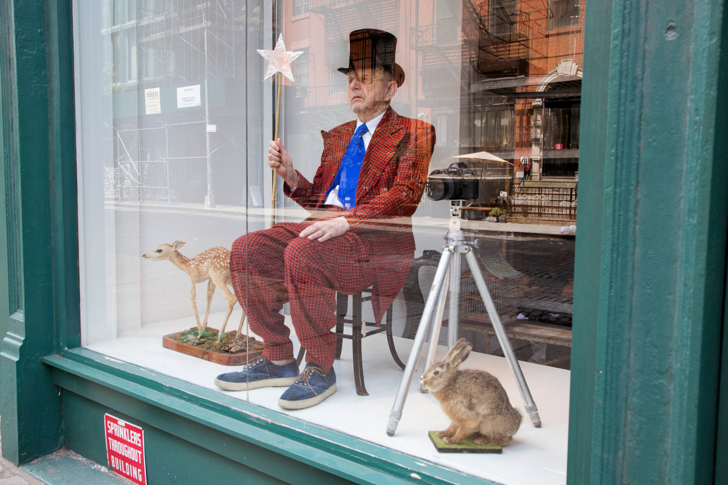 Duane Michals

Taxidermied Duane on Permanent Display in a Shop Window, 2017

Four chromogenic prints

8 x 10 inches (each)

Click image twice for individual views of sequence