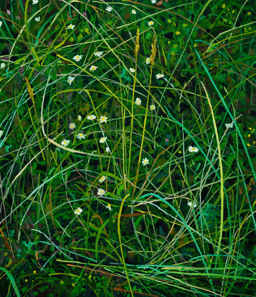 Claire Sherman, Wildflowers, 2020. Oil on canvas, 30 x 26 inches