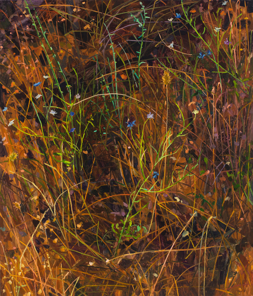 Claire Sherman
Grass and Flowers, 2020
Oil on canvas
42 x 36 inches