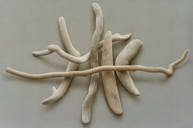 Alan Magee Canticle, 2019 acrylic on canvas 40 x 60 inches