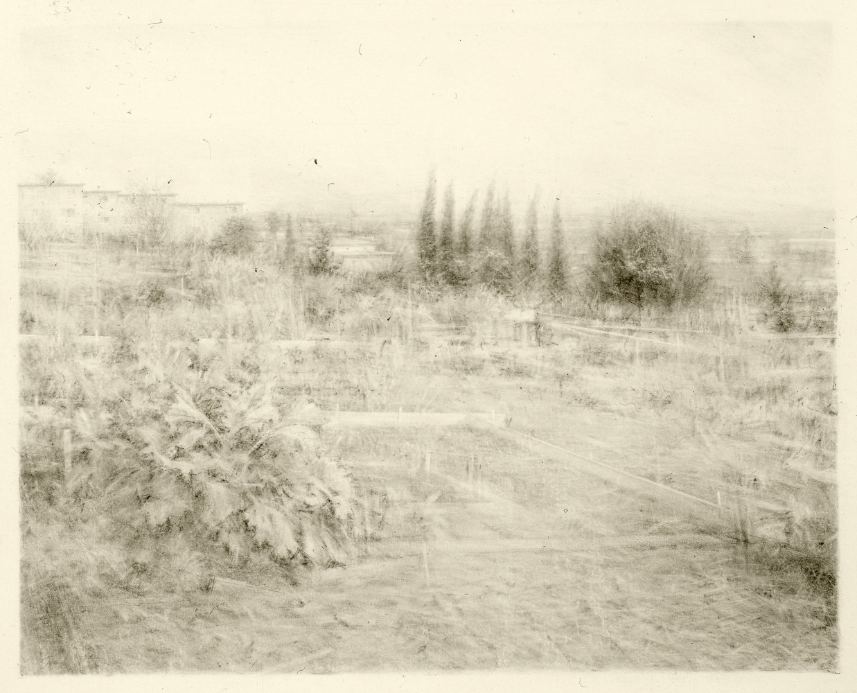 Robert Bauer
Centinela III, 2004
graphite on gessoed paper
15 x 18 1/4 inches
