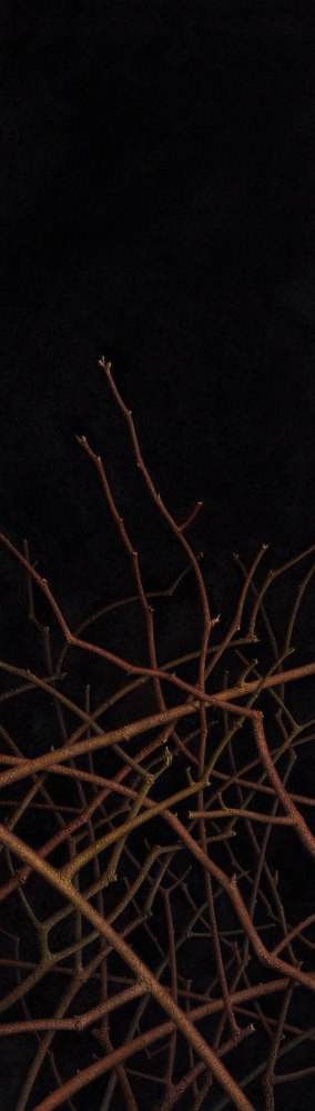 G. Daniel Massad Arrowslit: Sweetspire, 2023 pastel on paper 16 3/4 x 4 3/4 inches