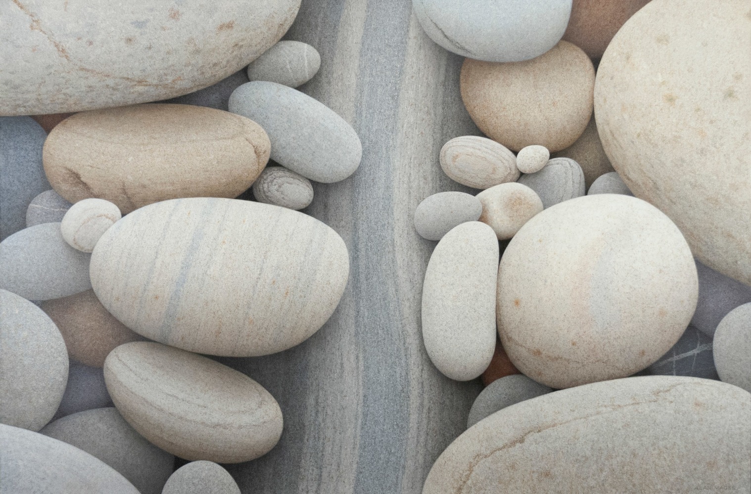 Alan Magee Double Page, 2019 acrylic on canvas 40 x 60 inches