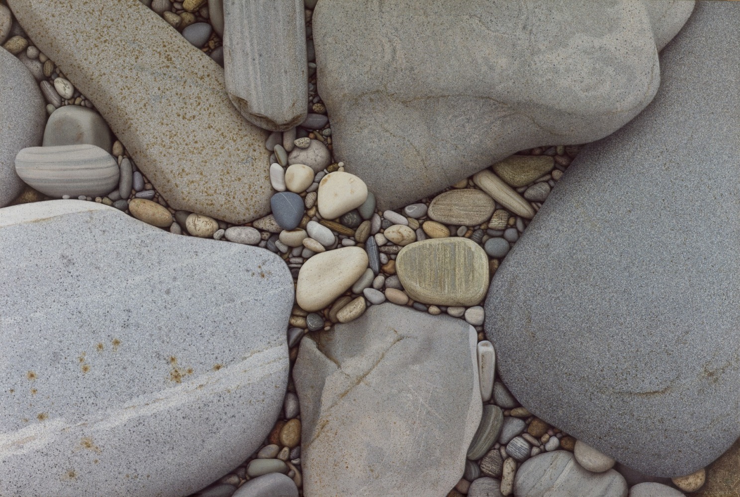 Alan Magee, Stones, 1981, acrylic on canvas, 46 x 68 inches