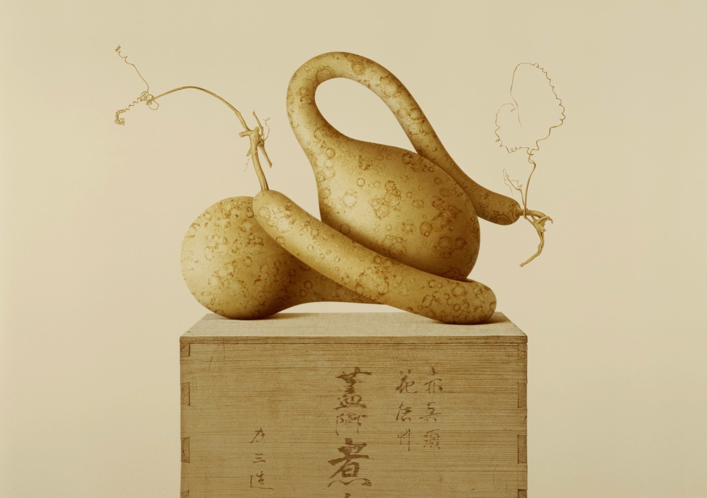 Alan Magee, Ceremony of Innocence, 1984, nine-color handmade lithograph, 18 3/8 x 25 3/4 inches, Edition 65/100