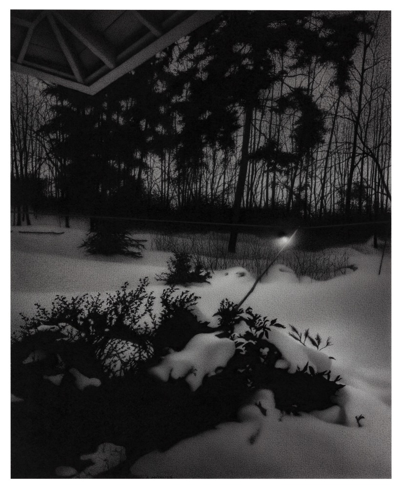 Anthony Mitri Nocturne: Winter Garden With Incidental Elements, 2023 charcoal on paper 15 1/2 x 12 5/8 inches