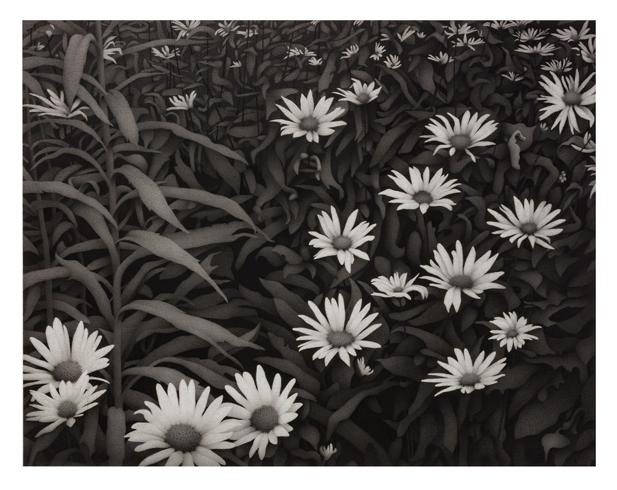 Anthony Mitri, Twilight, Munson Township, 2017-2018, charcoal on paper, 16 3/4 x 21 1/2 inches