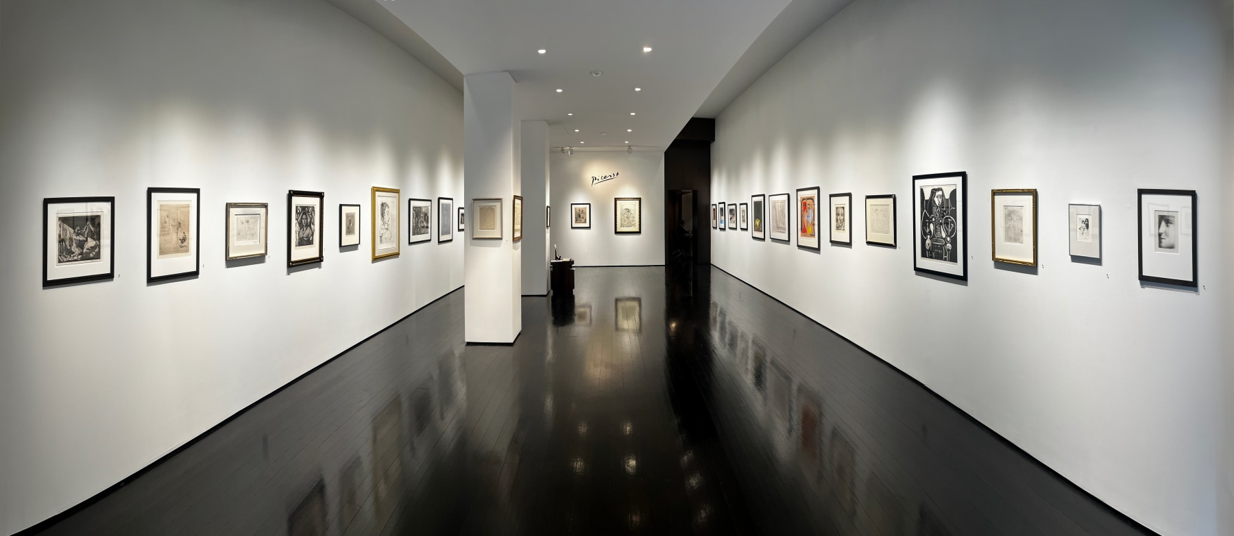 Picasso on Paper Panorama