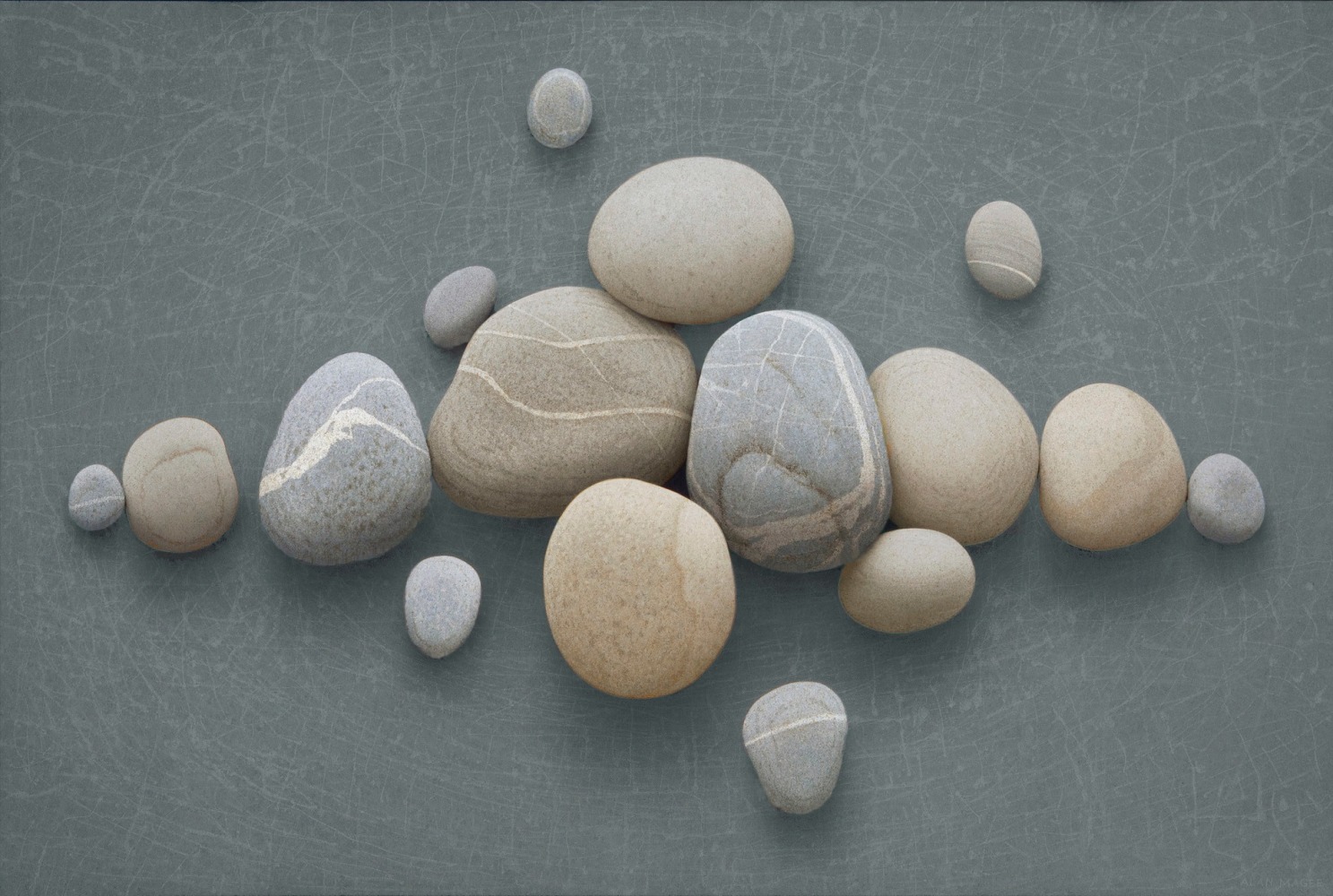 Alan Magee Aphorism, 2010 acrylic on canvas 46 x 69 inches