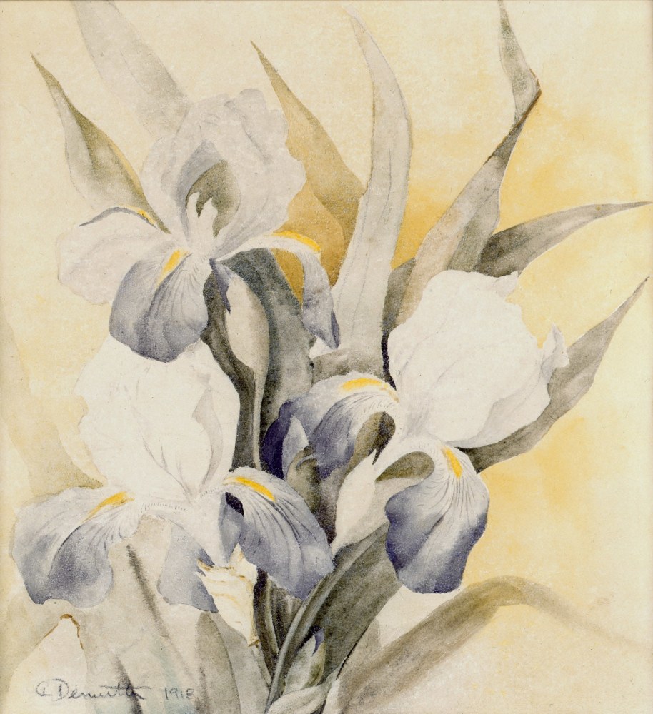 CHARLES DEMUTH, Iris, 1918, watercolor on paper, 8 3/4 x 8 1/8 inches