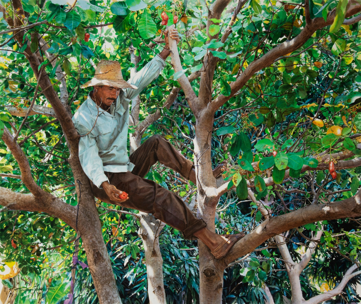 Rance Jones, Frutos de su Labor, 2019, watercolor on paper, 25 x 21 inches