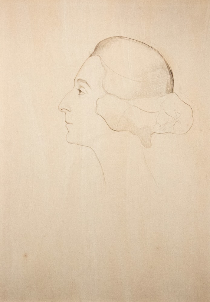 Joseph Stella Profile of a Lady silverpoint on paper 21 x 15 inches