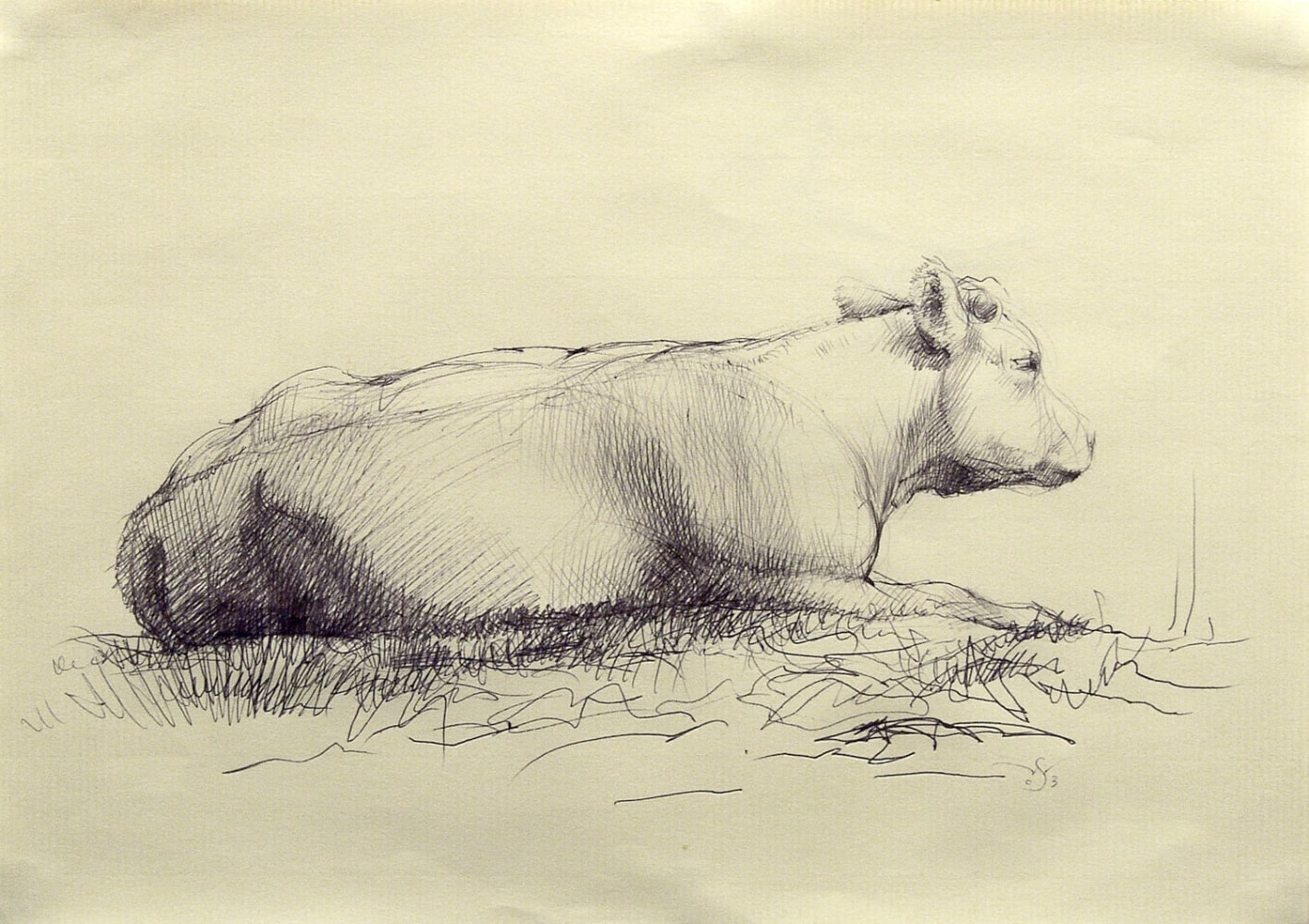 Wade Schuman Cow (from side), 2003, black ballpoint pen on buff paper, 7 1/2 x 10 inches