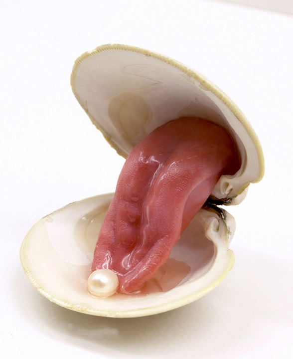Open Clam with Freshwater Pearl, 2004

Clam shell, silicone tongue, freshwater pearl, and resin