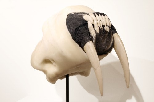 E.V. Day. Semi-Feral Skull IV, 2014. Resin sabre-tooth skull, stocking, elastic bandage, reflective paint and metal stand, 14 x 8 x 15 in. Courtesy of the artist and Salomon Contemporary.