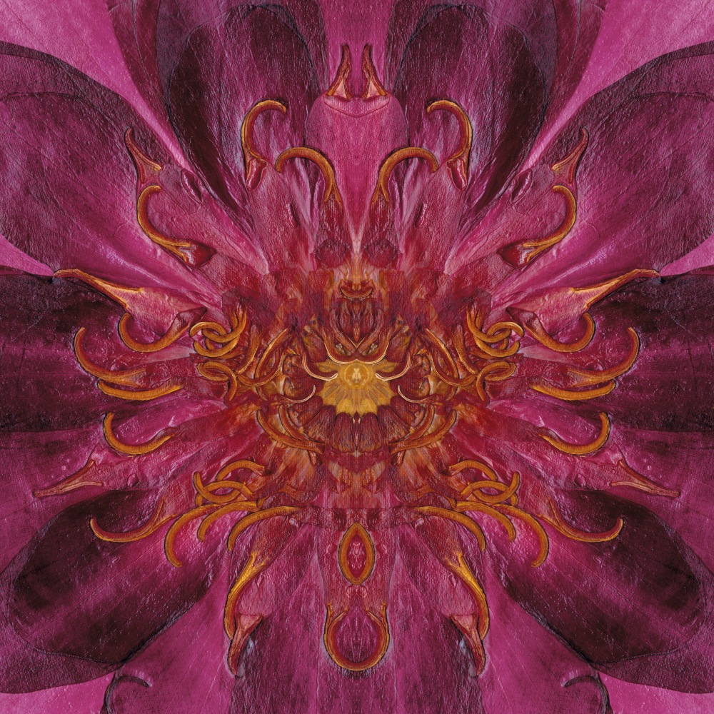 Waterlily, Crystal Archive Print, 72 x 72 in
&amp;nbsp;