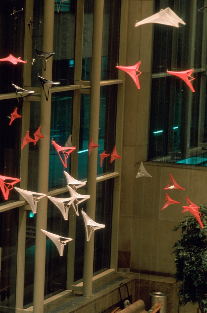 G-Force&amp;nbsp;Installation, Whitney Museum of American Art at Philip Morris/Altria, NYC.