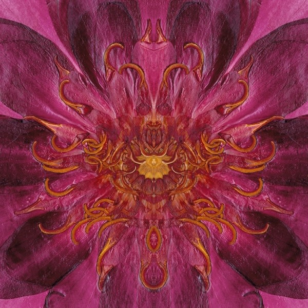 Waterlily,&amp;nbsp;Crystal Archive Print, 72 x 72 in
&amp;nbsp;