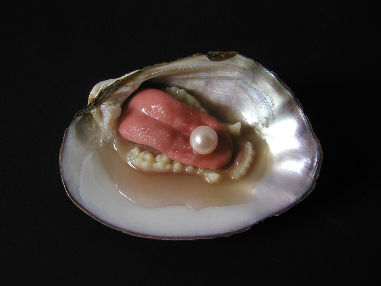 Untitled, 2005, Abalone, raccoon jaw and tongue with mother of pearl and resin.