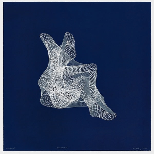 E.V. Day, Twisted II, Cyanotype,&amp;nbsp;40 x 40 inches.&amp;nbsp;Courtesy of Graphicstudio, U.S.F.