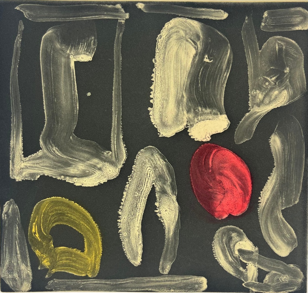 Bogart

1992

18.25 x 15.25 inches

Tusche Resist, Aquatint on Somerset Paper

$3,000