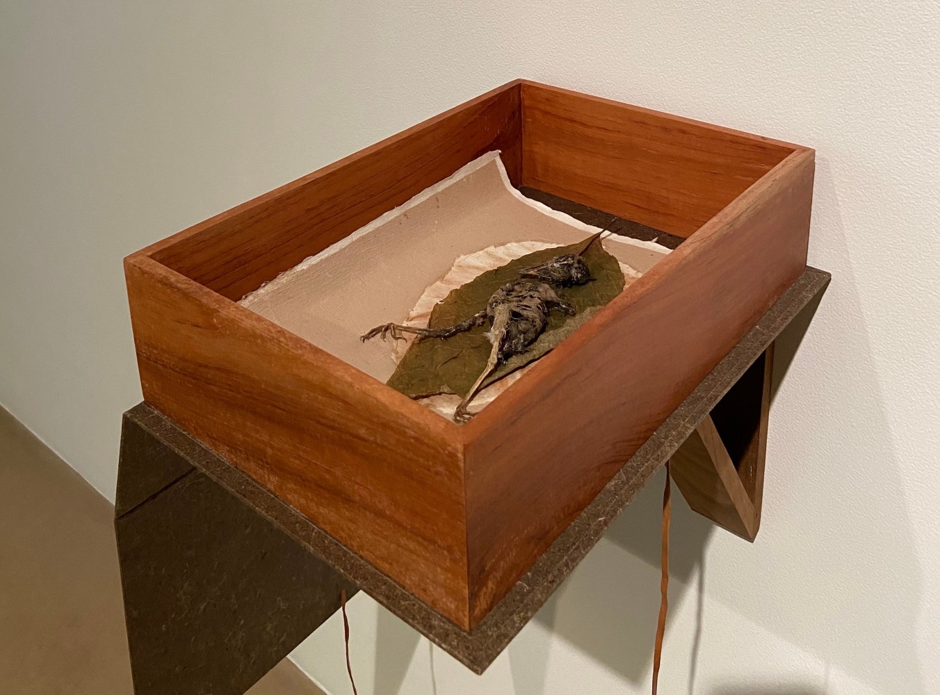 BENITHA PERCIYAL

BOOKCASE I &amp;mdash;&amp;nbsp;Will you leave me here dying, 2021,

Handmade bookcase of Banana fibre &amp;amp; wood, impression of leaf on handmade paper, found skeleton of Myna

14.5 x 10 x 4 in / 36.8 x 25.4 x 10.1 cm