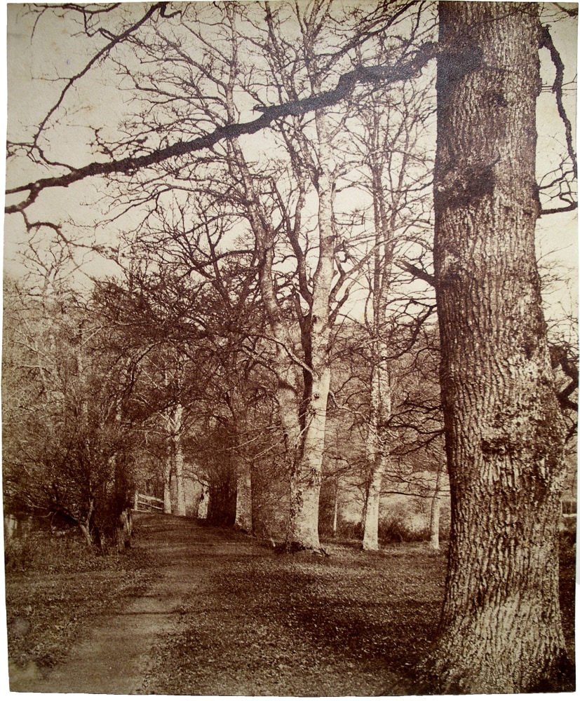 Benjamin Brecknell TURNER (English, 1815-1894) &quot;In Loseley Park&quot;*, 1852-1854 Albumen print from a waxed calotype negative 27.0 x 22.4 cm Titled in pencil on verso