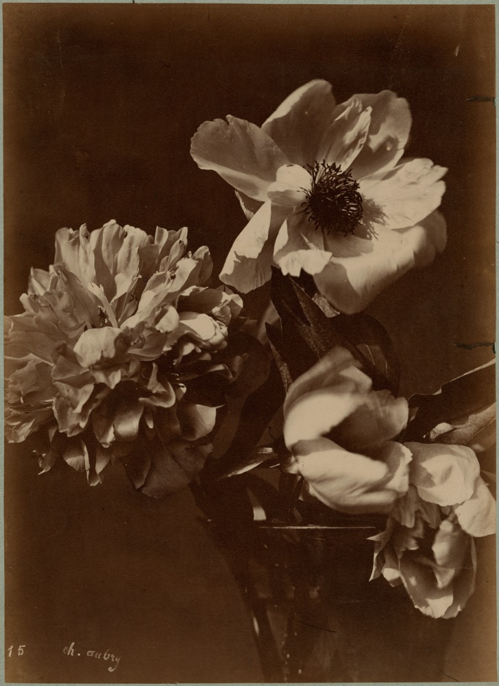 Charles Hippolyte AUBRY (French, 1811-1877) Flowers in a vase, 1860s Albumen print 36.2 x 26.3 cm Signed and numbered &quot;15&quot; in the negative