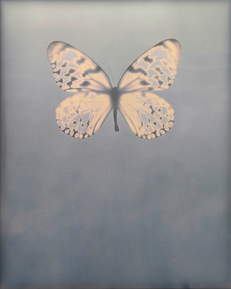 Adam FUSS (American, born in England, b. 1961) Untitled &quot;For Allegra&quot;, 2009 Daguerreotype photogram 25.4 x 20.3 cm framed to 35.5 x 30.0 cm Signed and dated in blue ink on verso