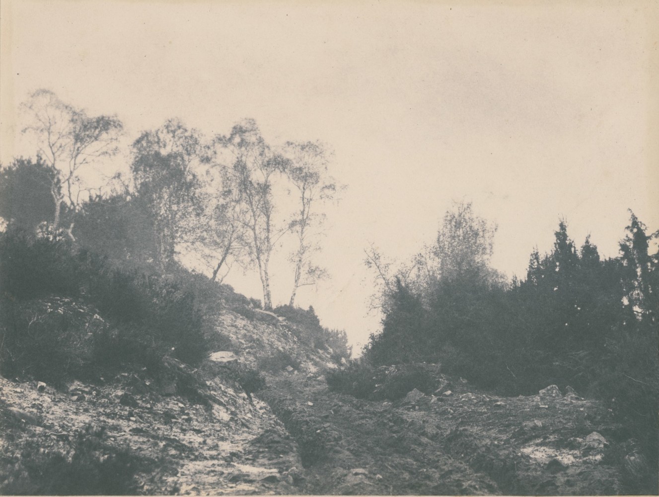 Eugène CUVELIER (French, 1837-1900) Pathway in the Forest of Fontainebleau*, October 1862 Salt print from a paper negative 19.8 x 25.8 cm, ruled in pencil, mounted on 39.5 x 52.2 cm paper Numbered &quot;N. 168&quot; and dated &quot;8br 62&quot; in pencil on mount
