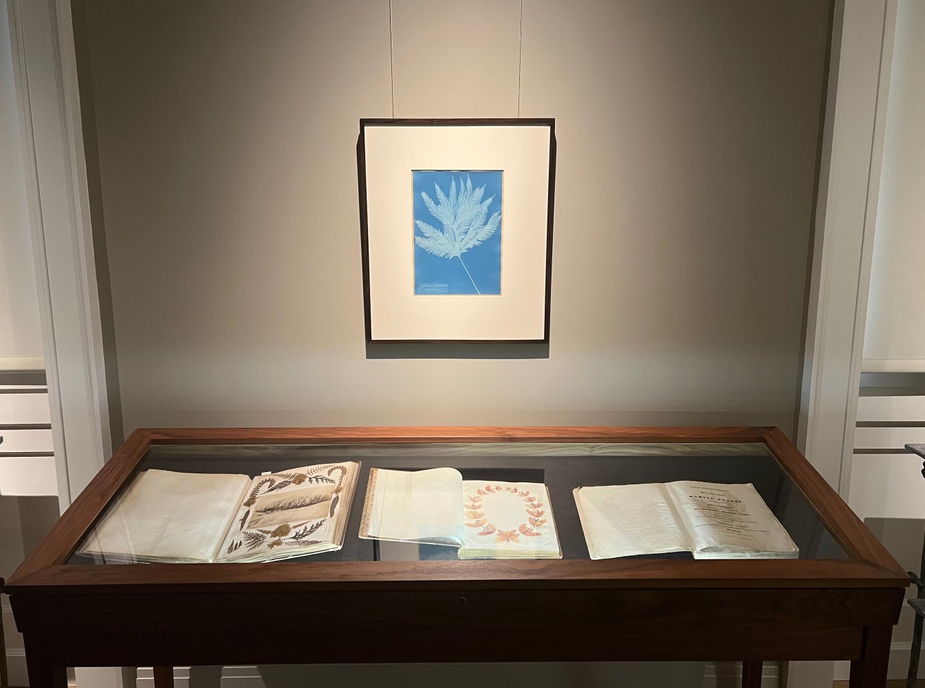 Fourth installation view of exhibition, Anna Atkins cyanotype of fern frond and display case with 3 books of botanical specimens