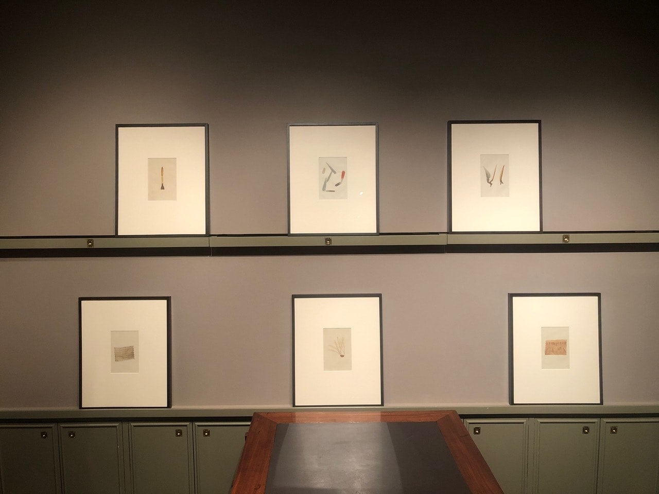 Critters: Hand-Colored Zoological Photomicrographs Installation View Four