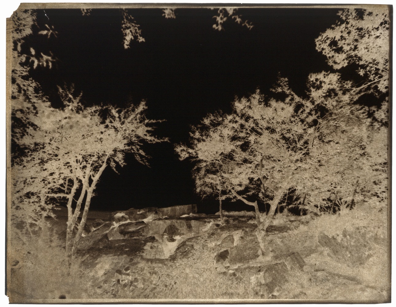 John Beasley GREENE (American, born in France, 1832-1856) Forêt de Fontainebleau, 1852-1853 Waxed paper negative 24.8 x 31.7 cm