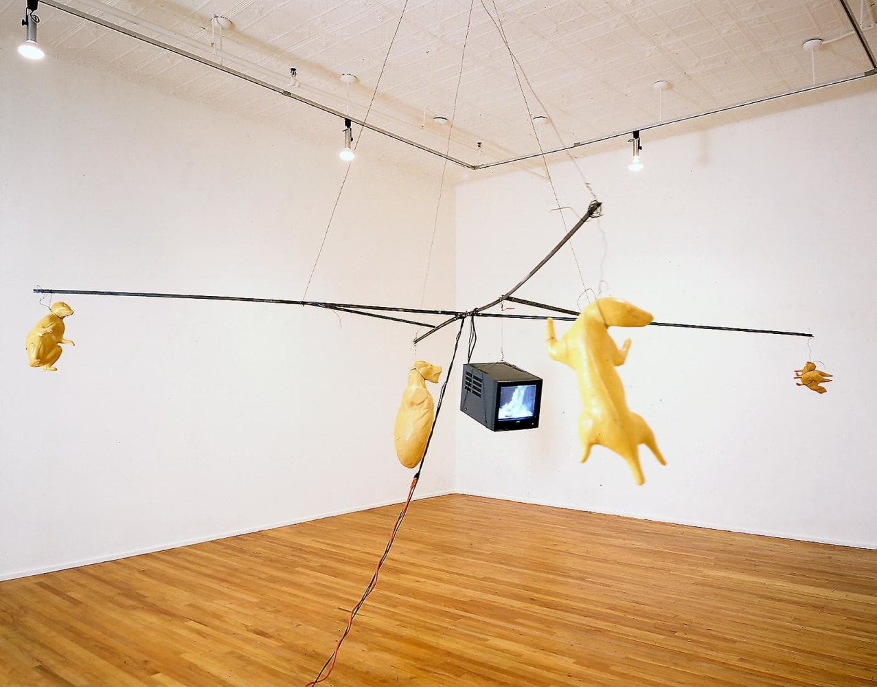 Bruce Nauman
Hanging Carousel (George Skins A Fox), 1988
steel, polyurethane foam, video monitor and videotape (color, sound)
204 inches (518,2 cm)&amp;nbsp;diameter, suspended 74 1/2 inches (189,2 cm) above the&amp;nbsp;floor
SW 88139
Collection of Museum of Contemporary Art Chicago