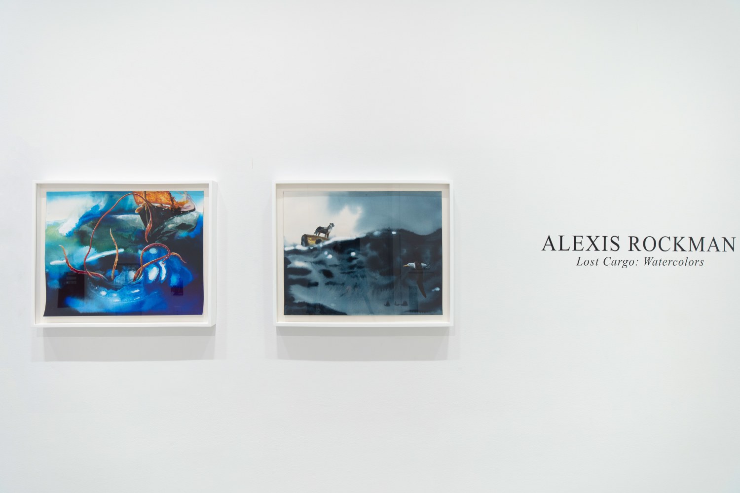 gallery installation view with framed watercolors on paper
