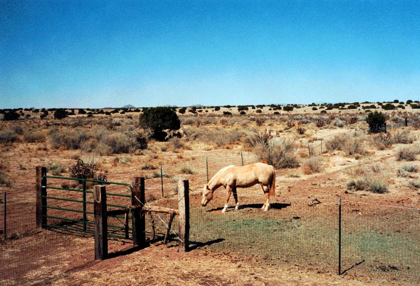 Bruce&amp;nbsp;Nauman
Setting a Good Corner (Allegory &amp;amp; Metaphor), 1999
DVD (color, sound)
59:30 min.
edition 3/40
SW 00144.3