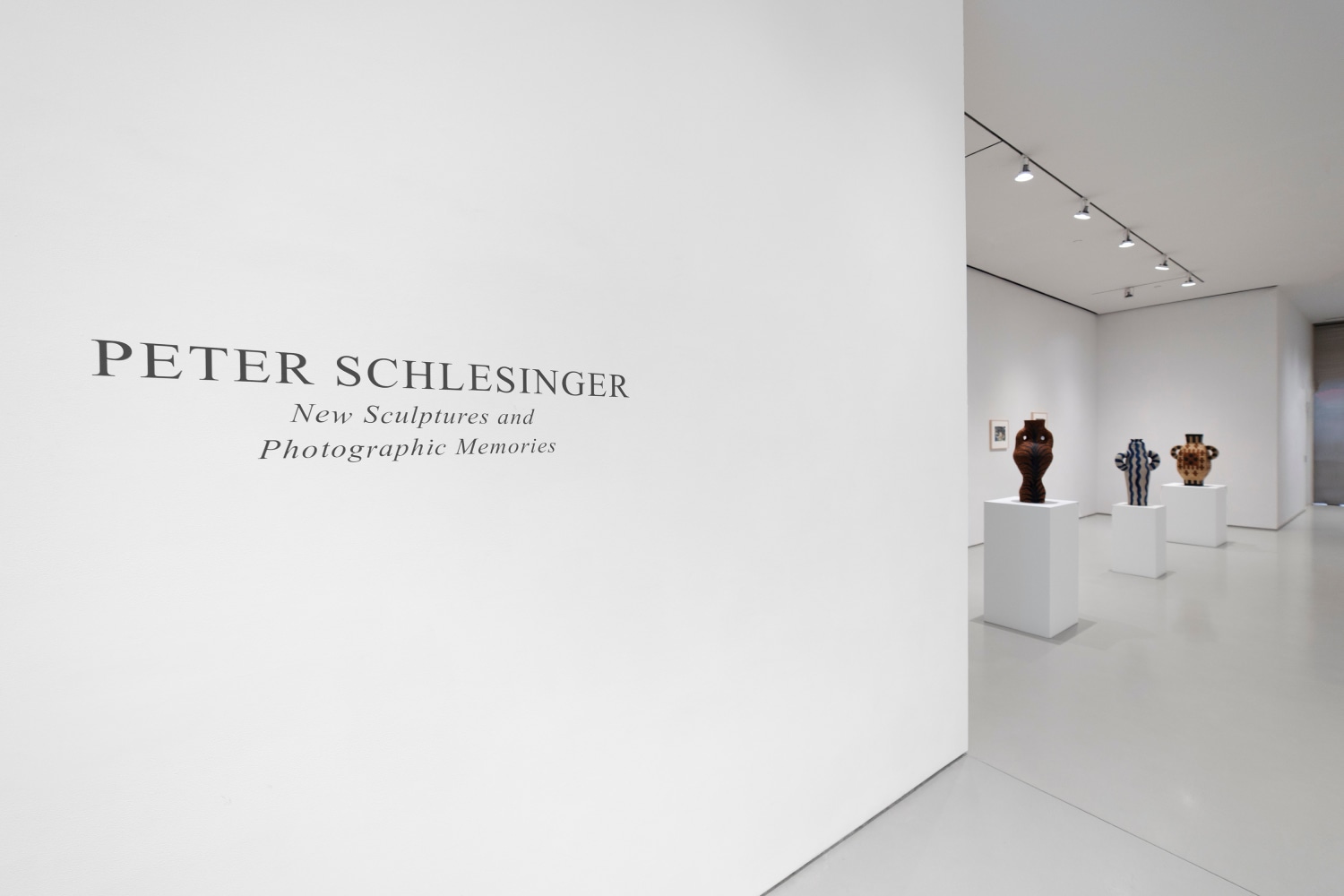 black text on a white wall and a view into a white room with 3 ceramic sculptures on pedestals and photographs hanging behind them