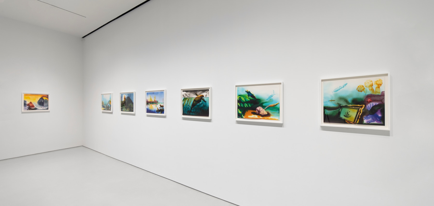 Framed watercolors of varying underwater scenes hang on white gallery walls