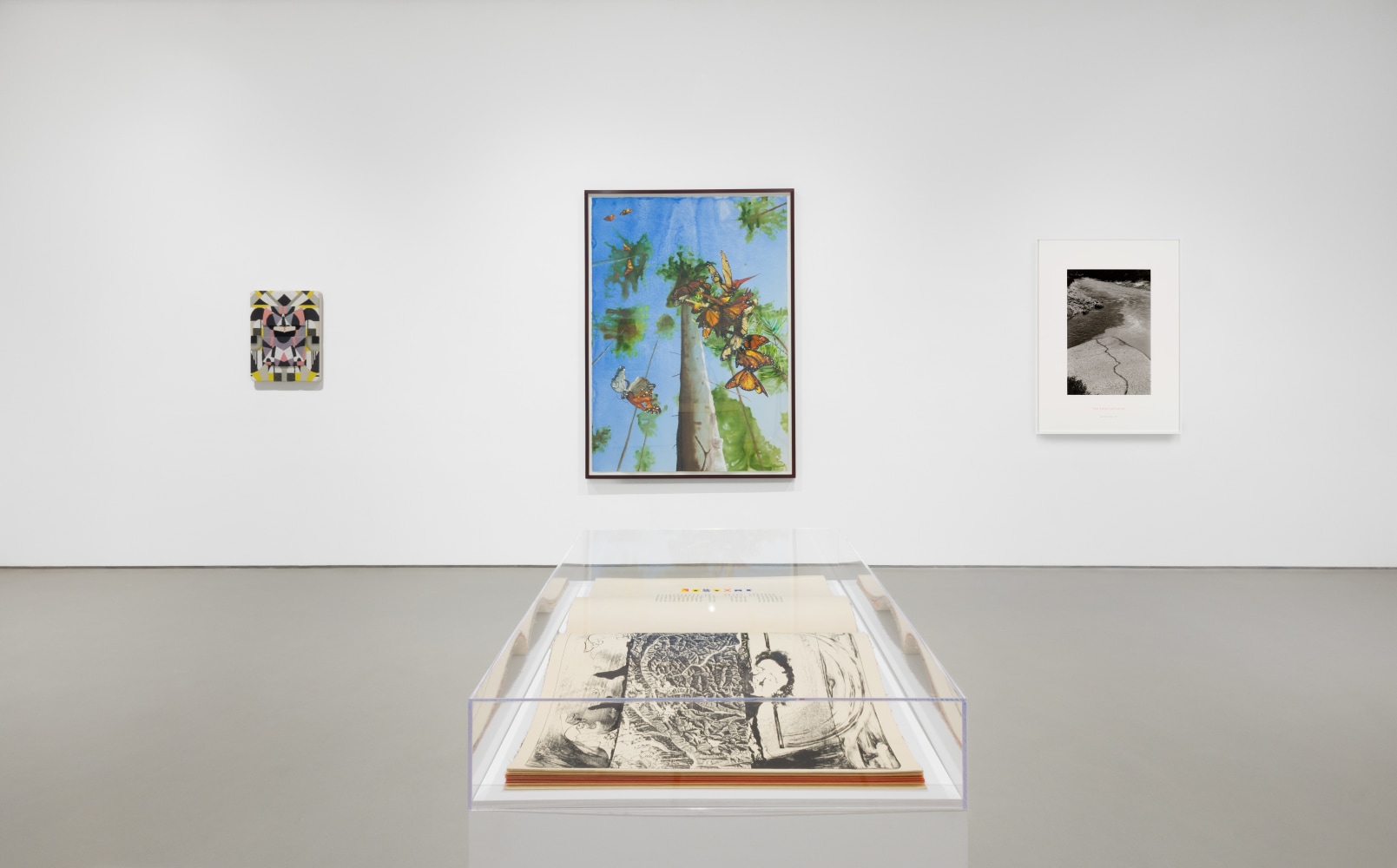 a vitrine in the center of a gallery with three artworks on the wall in the background
