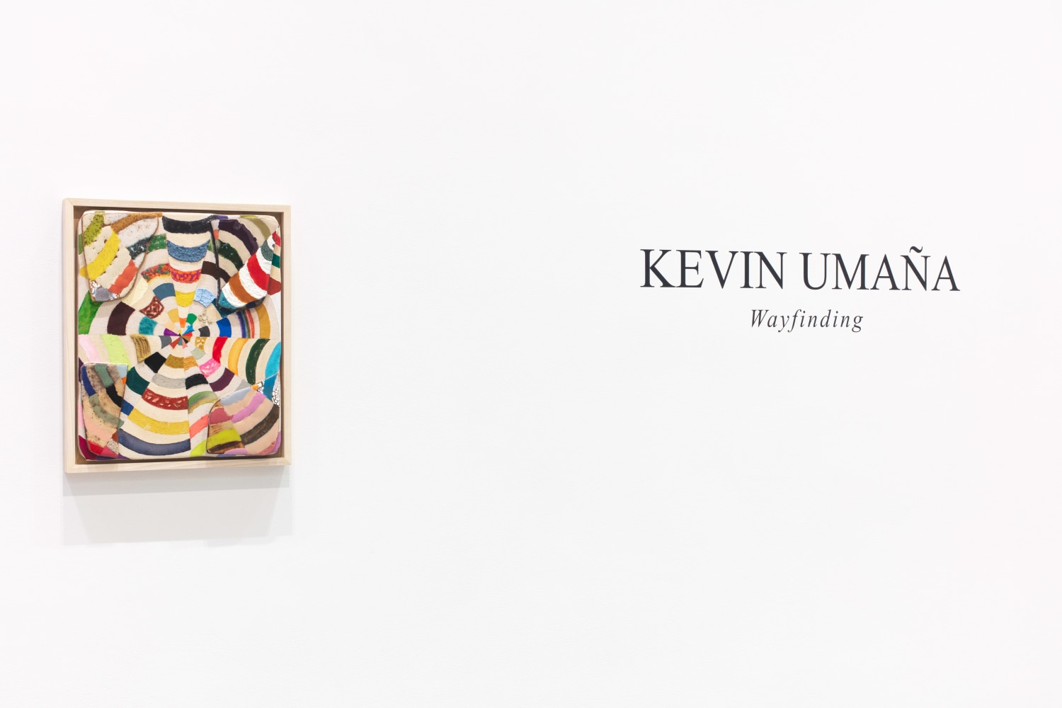 installation view of a colorful Umaña hybrid painting alongside the exhibition title wall text