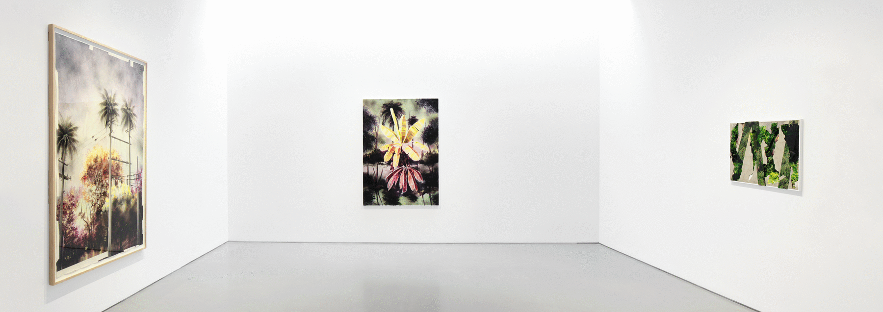 Installation view of three colorful artworks depicting nature hanging on adjacent white walls
