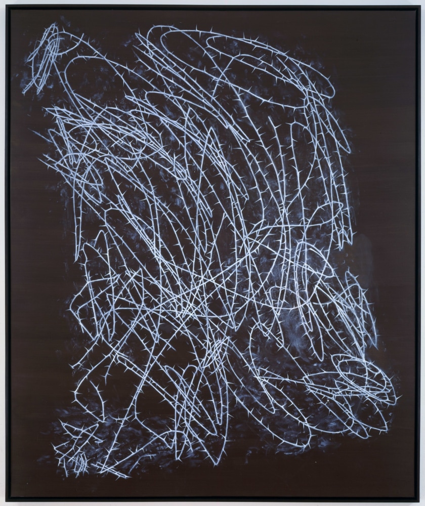 Guillermo Kuitca
Corona de espinas (Kindertotenlieder), 1994
oil and acrylic on canvas
94 1/2 x 74 3/4 inches (240 x 189,2 cm)
SW 99288
Collection of The&amp;nbsp;Cleveland Museum of Art