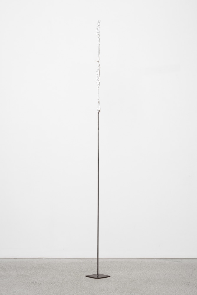 Helmut Lang
Untitled, 2016
enamel, resin, mixed media and steel&amp;nbsp;
84 1/4 x 6 x 6 inches (214 x 15 x 15 cm)&amp;nbsp;
SW 16039