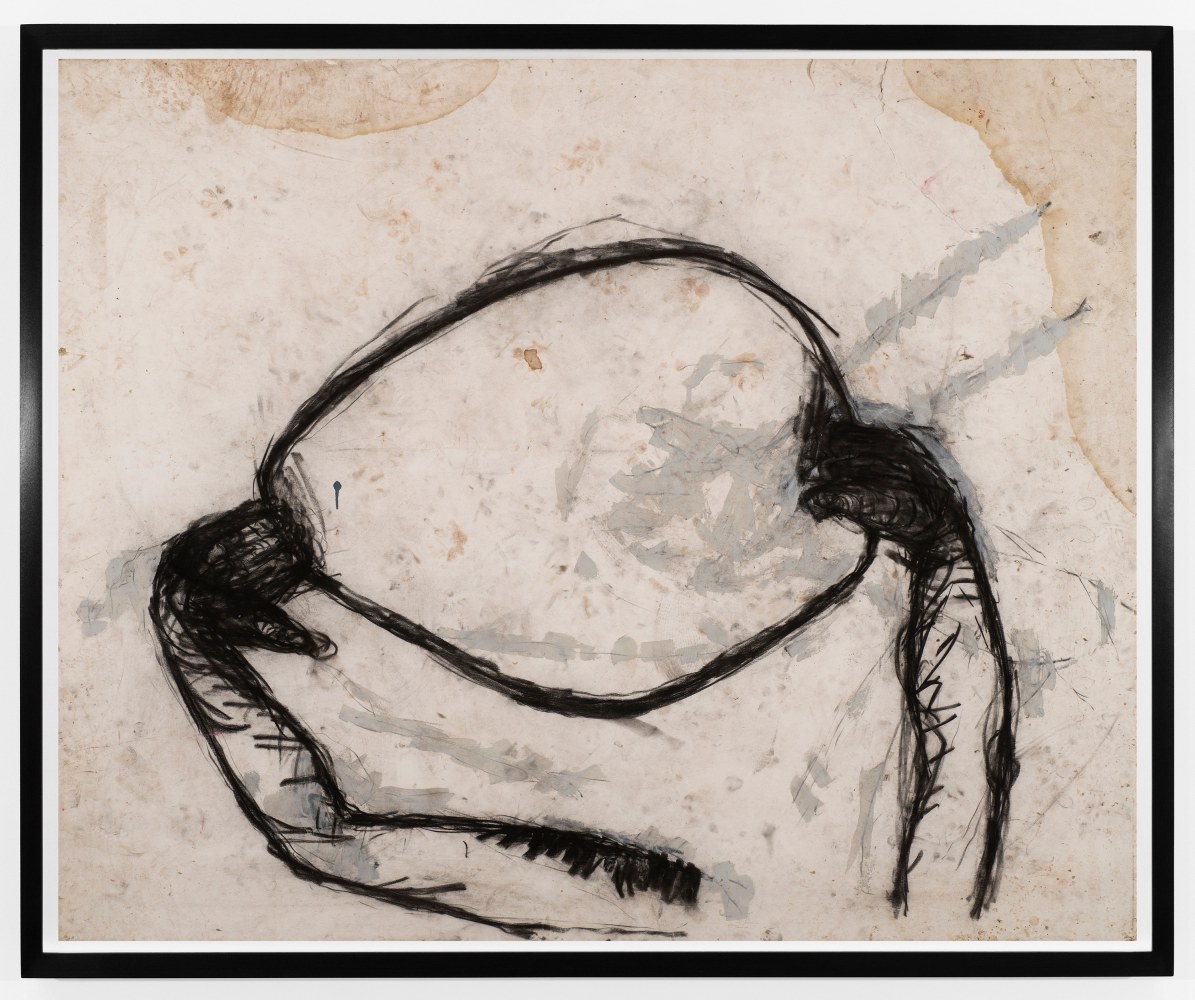 Susan&amp;nbsp;Rothenberg
Band + Hands, 2018
oil paint, charcoal and graphite on paper
58 1/2 x 71 3/4 inches (148,6 x 182,2 cm)
62 x 75 1/4 inches (157,5 x 191,1 cm) frame
​SW 19350

&amp;nbsp;

&amp;nbsp;

&amp;nbsp;

&amp;nbsp;