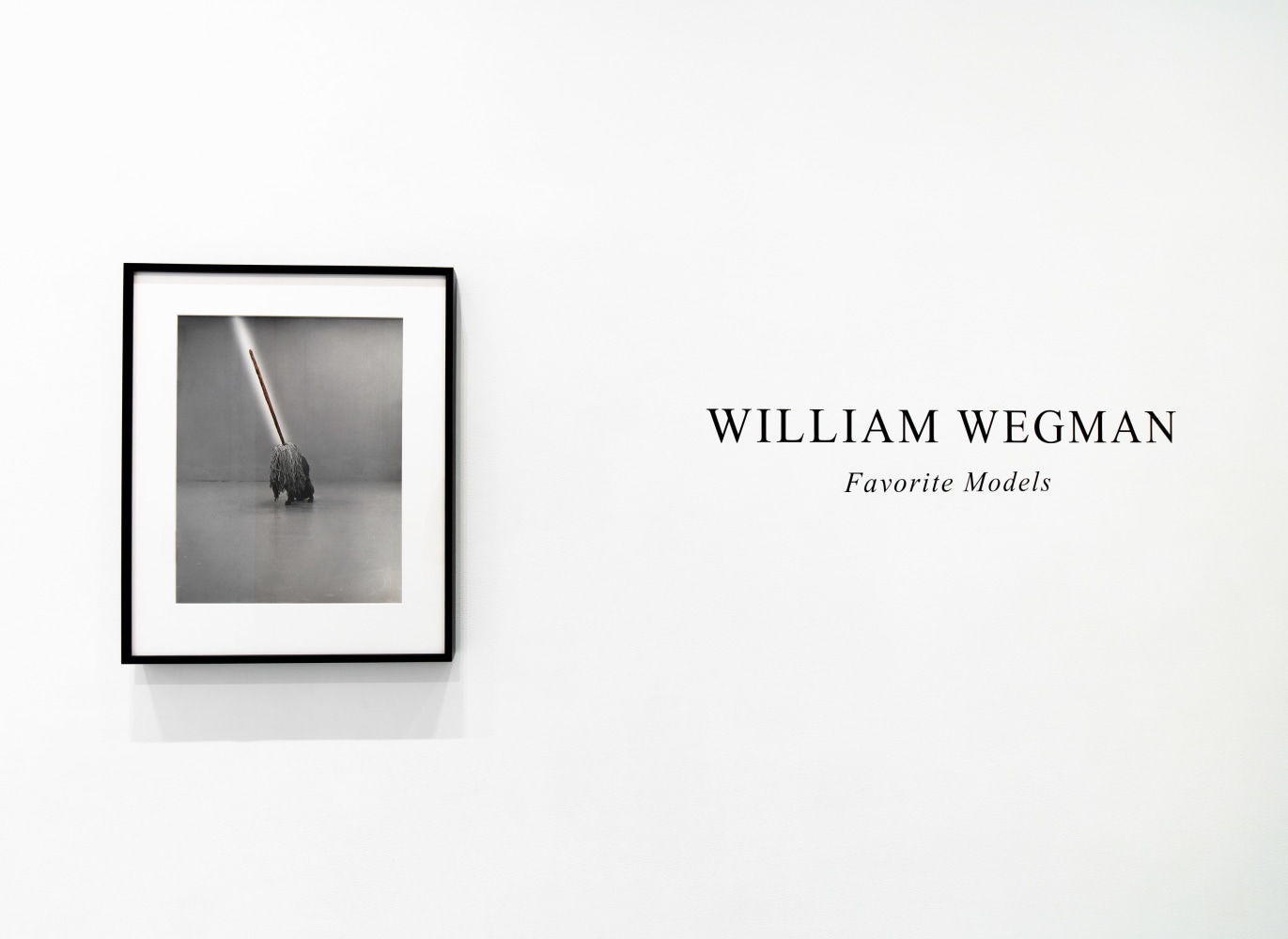 installation view of a black and white photograph on the left and title of exhibition, &quot;William Wegman: Favorite Models&quot;, on the right