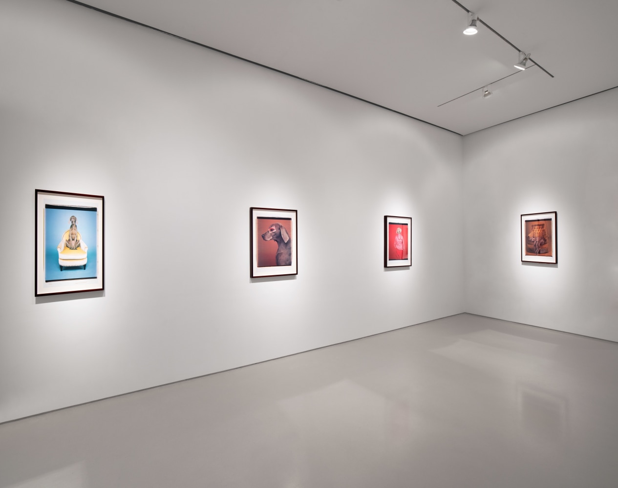 Three colorful vertical photographs hung adjacent on one wall featured at an angle, and one photograph on perpendicular wall