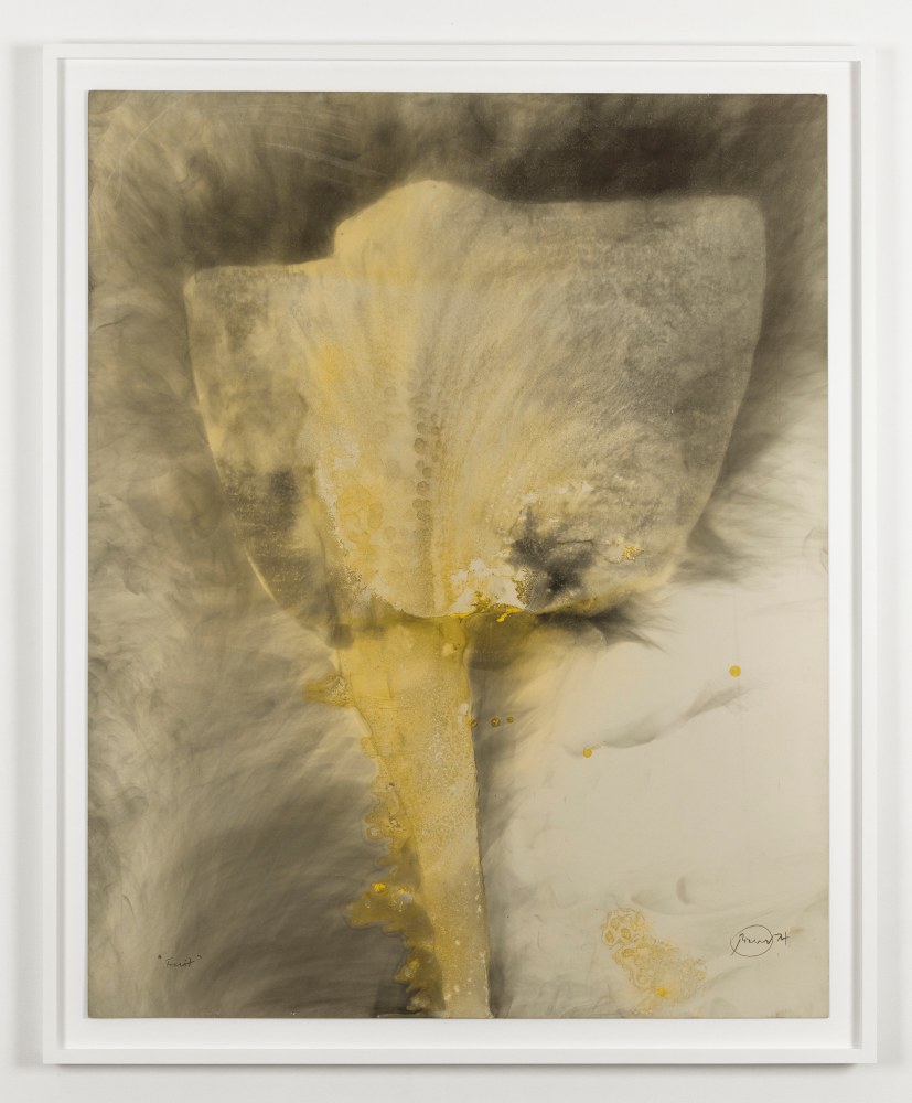 Otto Piene

Fruit, 1974

fire gouache on paper

40 3/4 x 32 inches (103,5 x 81,3 cm)

44 x 36 inches (111,8 x 91,4 cm) frame

SW 12022