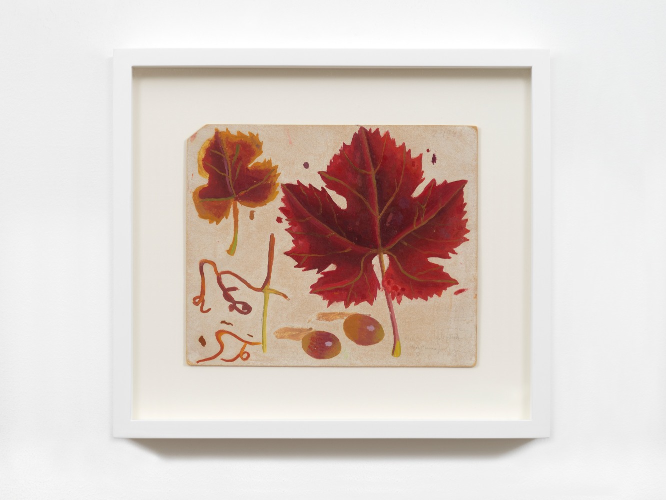 Hojas de parras y uvas, 1943
Oil and pencil on board
6 7/8 x 8 1/4 inches (17.5 x 21 cm)
