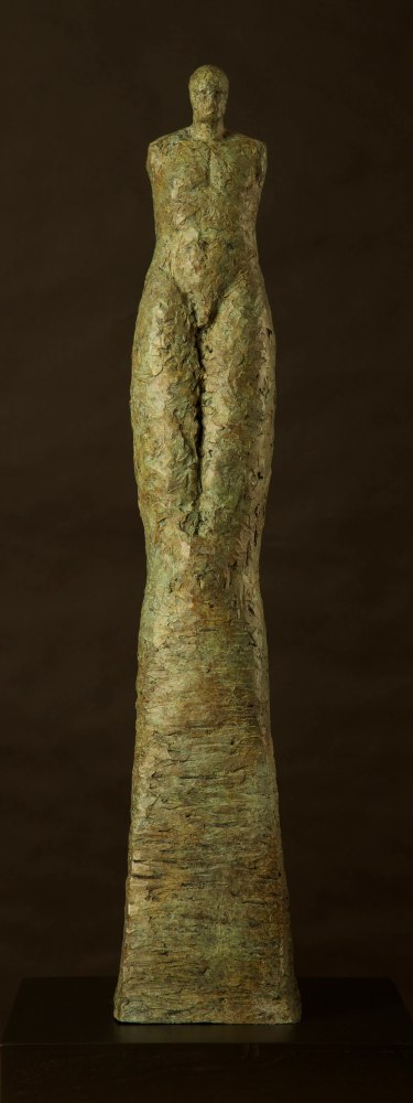 Amy.Medford.Sentinel.Male.Bronze.24h.in.AM1-009